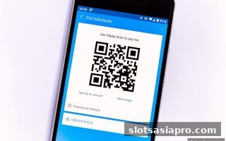 电子游戏平台充值攻略：ERC20与TRC20网络全面对比