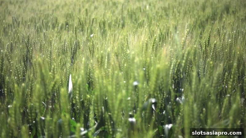 电子游戏平台亏损补偿全攻略：机制、技巧与心理洞察