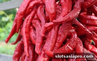 龙虎对决中的签到返现策略：电子游戏平台玩家必读指南
