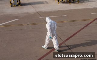 电子游戏平台新葡京合法性深度剖析：合规边界与用户避险指南