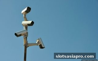 电子游戏平台背景评估：从资质到口碑的完整甄别指南
